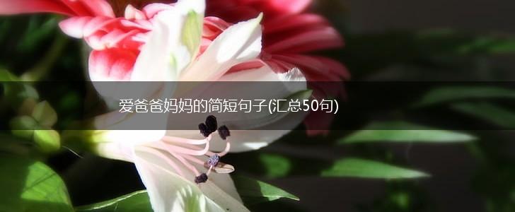 爱爸爸妈妈的简短句子(汇总50句),第1张