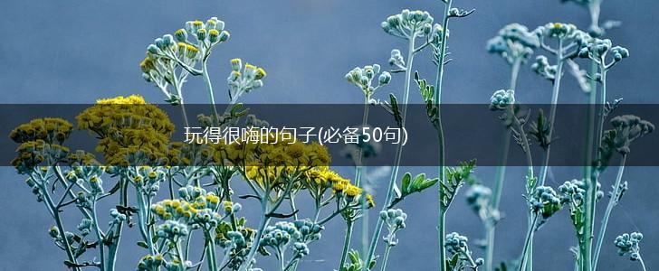 玩得很嗨的句子(必备50句),第1张