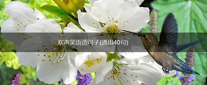 欢声笑语造句子(通用40句),第1张