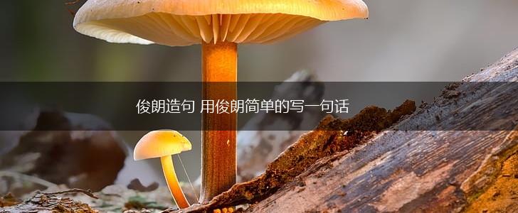 俊朗造句 用俊朗简单的写一句话,第1张