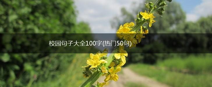 校园句子大全100字(热门50句),第1张