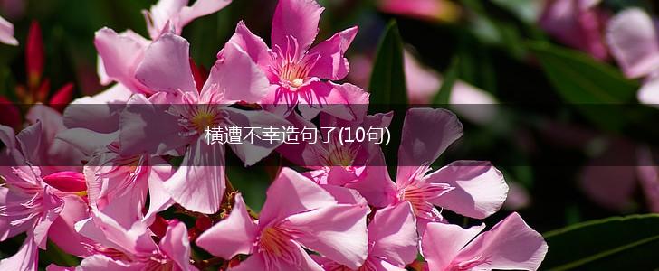 横遭不幸造句子(10句),第1张