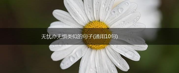无忧亦无惧类似的句子(通用10句),第1张