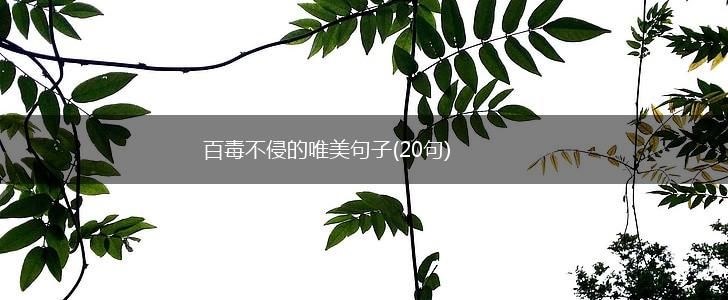 百毒不侵的唯美句子(20句),第1张