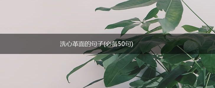 洗心革面的句子(必备50句),第1张