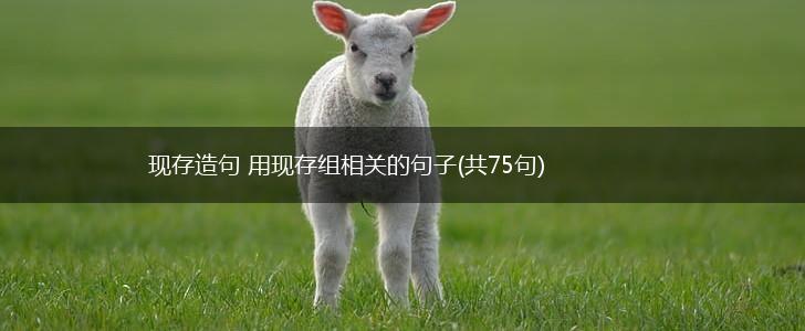 现存造句 用现存组相关的句子(共75句),第1张
