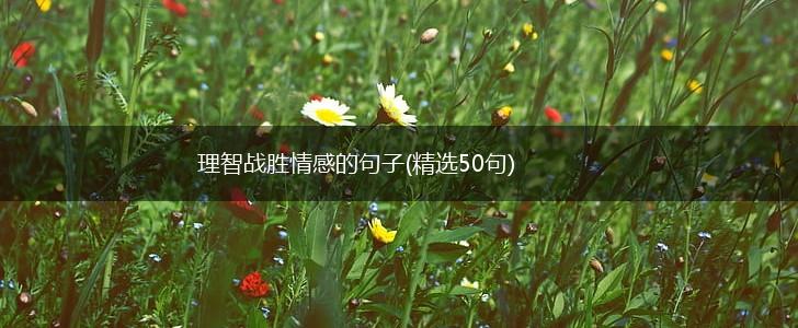 理智战胜情感的句子(精选50句),第1张