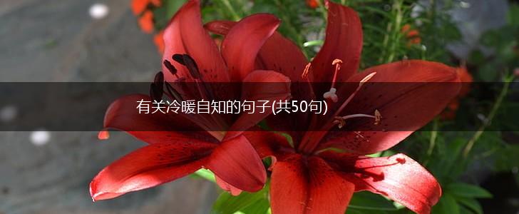 有关冷暖自知的句子(共50句),第1张