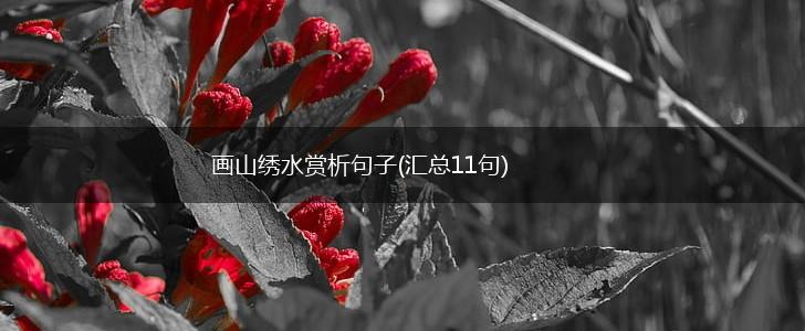 画山绣水赏析句子(汇总11句),第1张