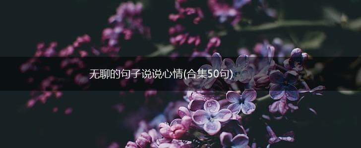 无聊的句子说说心情(合集50句),第1张