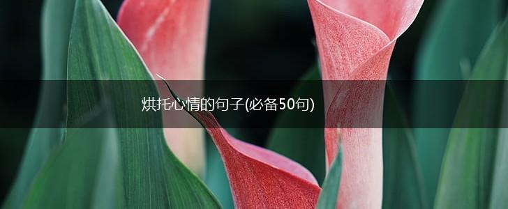 烘托心情的句子(必备50句),第1张