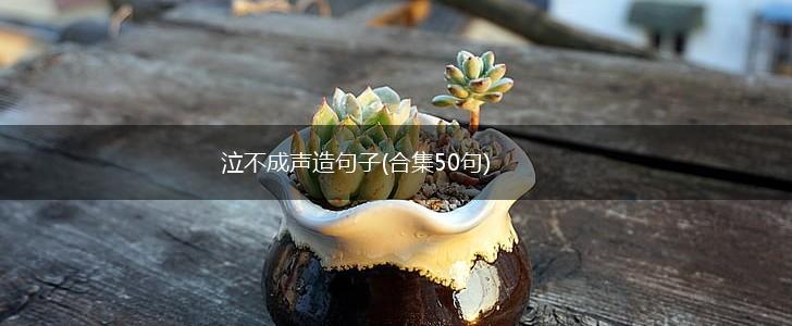 泣不成声造句子(合集50句),第1张