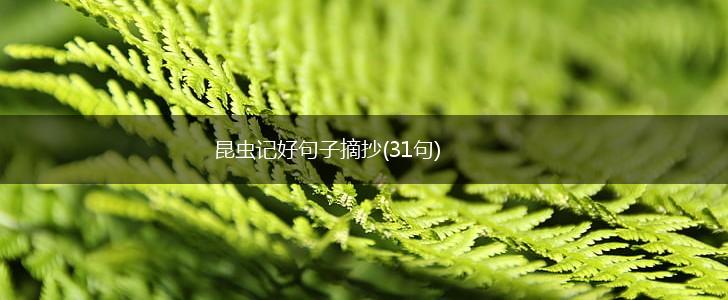 昆虫记好句子摘抄(31句),第1张