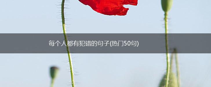 每个人都有犯错的句子(热门50句),第1张