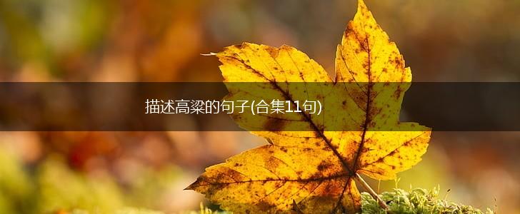描述高粱的句子(合集11句),第1张