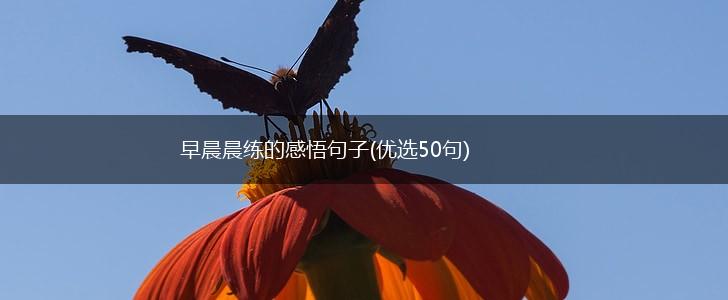 早晨晨练的感悟句子(优选50句),第1张