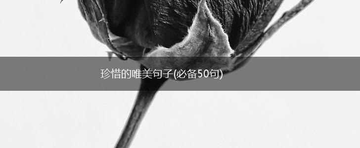 珍惜的唯美句子(必备50句),第1张