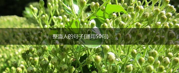 整蛊人的句子(通用50句),第1张