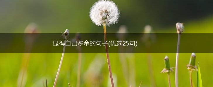 显得自己多余的句子(优选25句),第1张