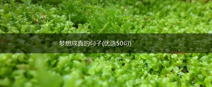 梦想成真的句子(优选50句),第1张