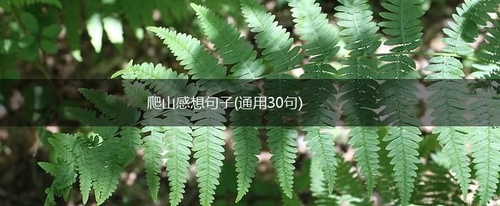 爬山感想句子(通用30句),第1张