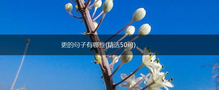更的句子有哪些(精选50句),第1张