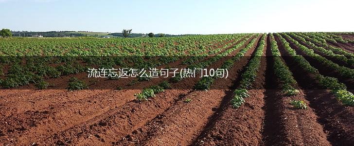 流连忘返怎么造句子(热门10句),第1张