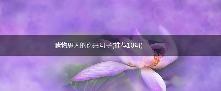 睹物思人的伤感句子(推荐10句),第1张