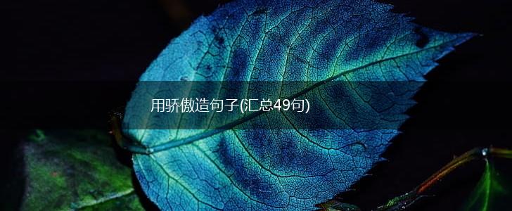 用骄傲造句子(汇总49句),第1张