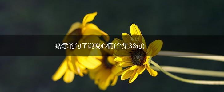 疲惫的句子说说心情(合集38句),第1张