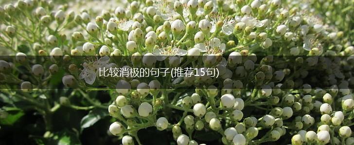 比较消极的句子(推荐15句),第1张