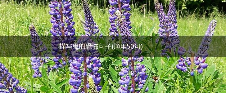描写鬼的恐怖句子(通用50句),第1张