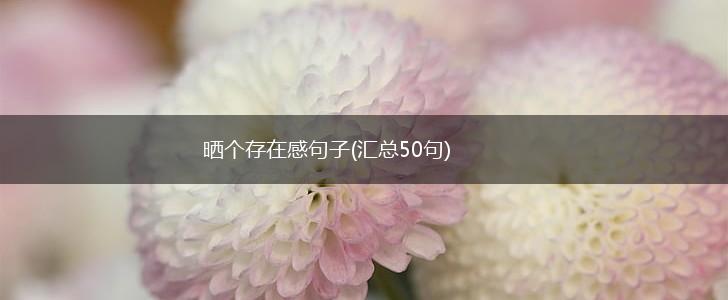 晒个存在感句子(汇总50句),第1张