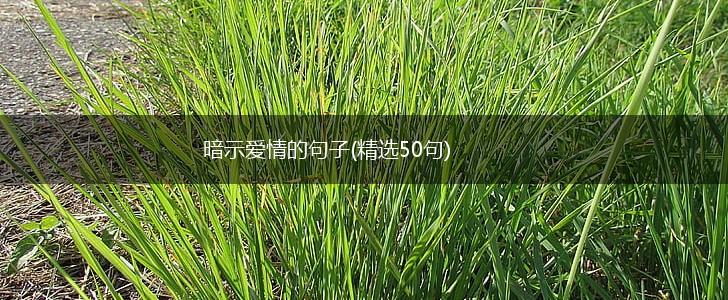 暗示爱情的句子(精选50句),第1张