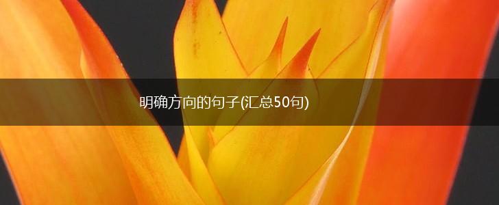 明确方向的句子(汇总50句),第1张