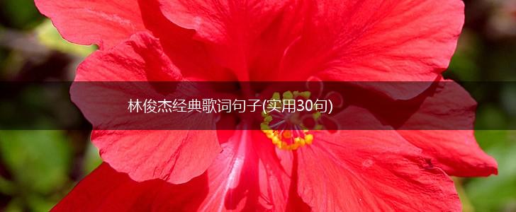 林俊杰经典歌词句子(实用30句),第1张