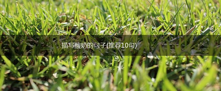描写酸奶的句子(推荐10句),第1张