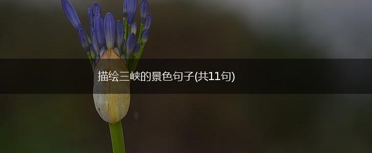 描绘三峡的景色句子(共11句),第1张