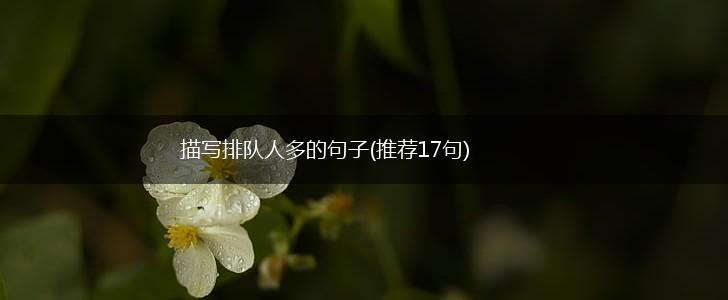 描写排队人多的句子(推荐17句),第1张