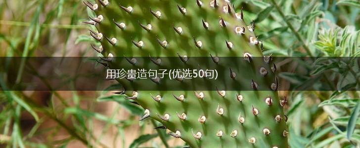 用珍贵造句子(优选50句),第1张