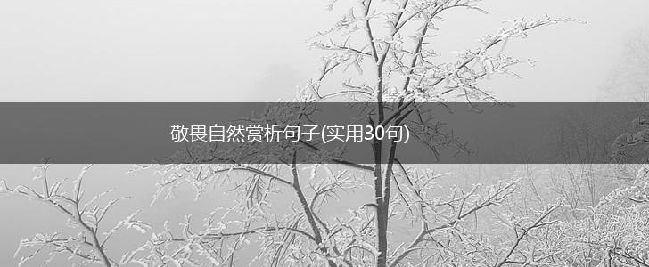 敬畏自然赏析句子(实用30句),第1张
