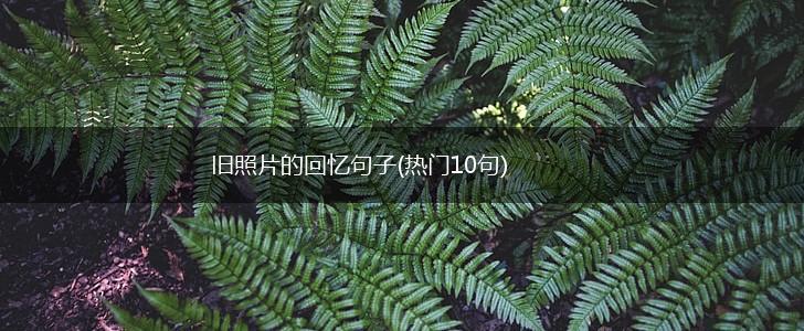 旧照片的回忆句子(热门10句),第1张