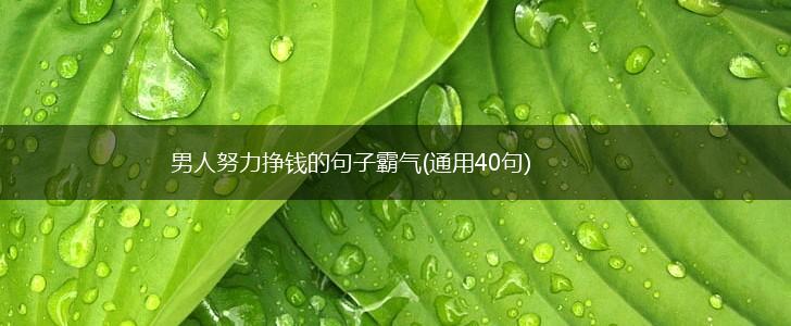 男人努力挣钱的句子霸气(通用40句),第1张