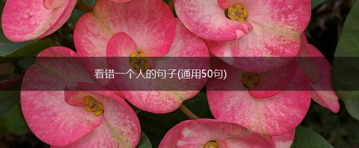 看错一个人的句子(通用50句),第1张