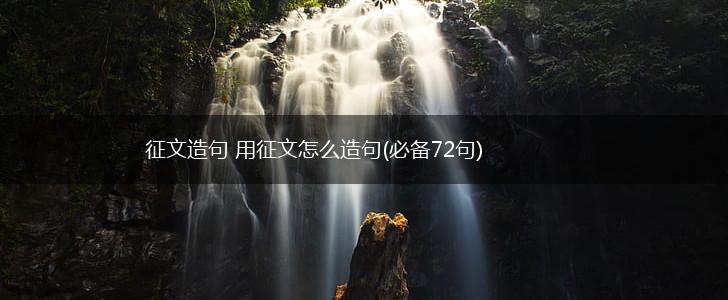 征文造句 用征文怎么造句(必备72句),第1张
