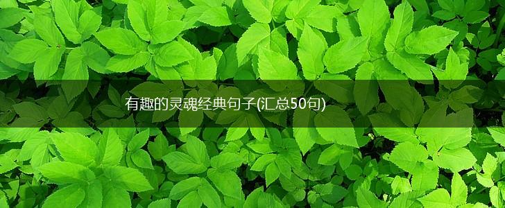 有趣的灵魂经典句子(汇总50句),第1张
