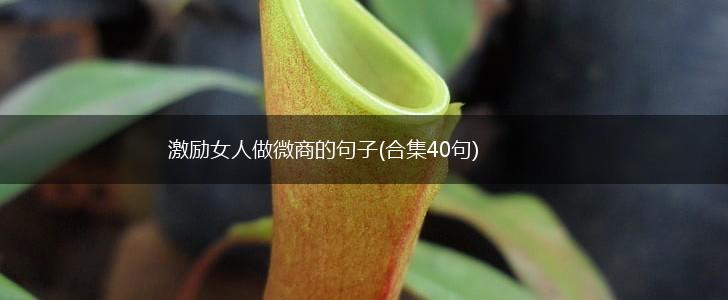激励女人做微商的句子(合集40句),第1张