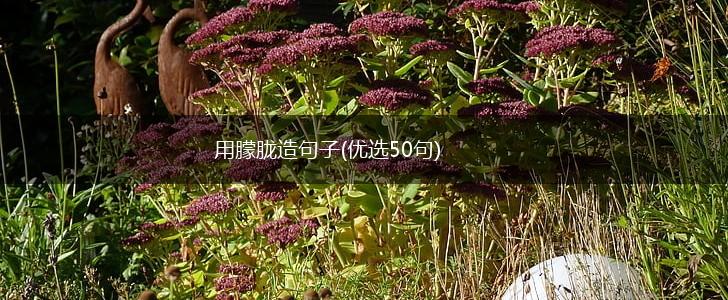 用朦胧造句子(优选50句),第1张