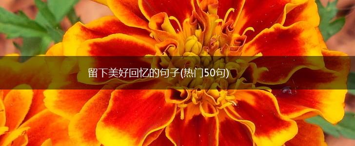 留下美好回忆的句子(热门50句),第1张