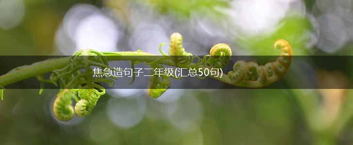 焦急造句子二年级(汇总50句),第1张